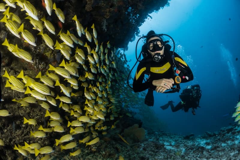 Scuba diving underwater